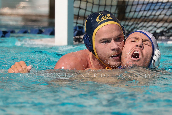 Collegiate Mens Water Polo: California Golden Bears vs UC Santa Barbara Gauchos