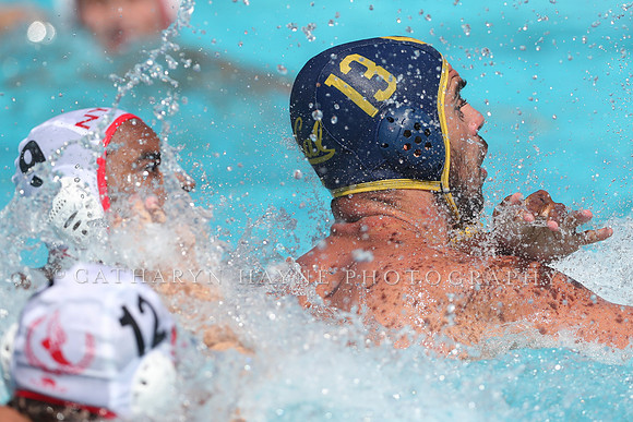 USA Water Polo: National League: NYAC vs Cal