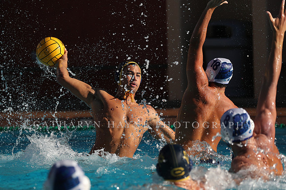 Collegiate Mens Water Polo: MPSF Invitational: California Golden Bears vs UC Santa Barbara Gauchos