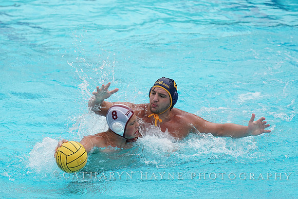 MWP: MPSF:California Golden Bears vs Stanford Cardinals