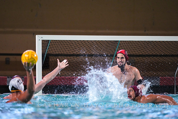 MWP: Fordham University Rams vs Long Beach State