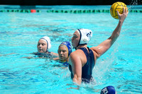 WWP: California Golden Bears vs San Jose State University Spartans