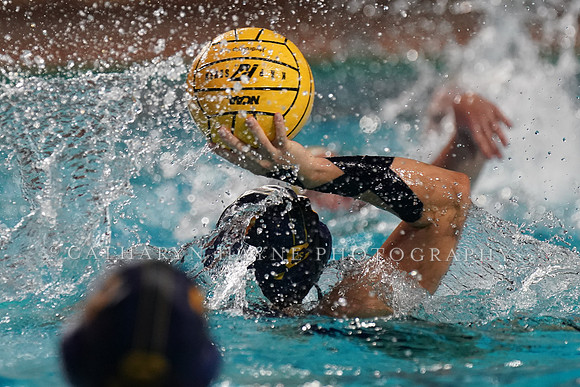 WWP: Stanford Invitational: California Golden Bears vs UC Davis Aggies