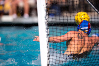 Cal vs UCLA at Mountain Pacific Invitational