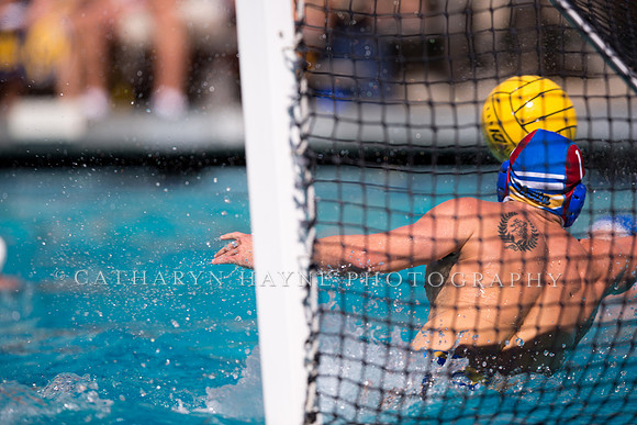 Cal vs UCLA at Mountain Pacific Invitational