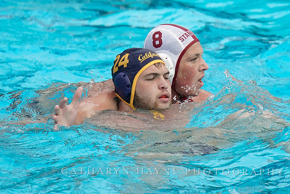 MWP: MPSF:California Golden Bears vs Stanford Cardinals