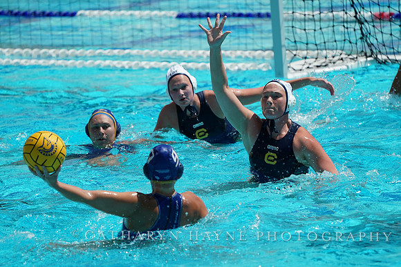 WWP: California Golden Bears vs San Jose State University Spartans