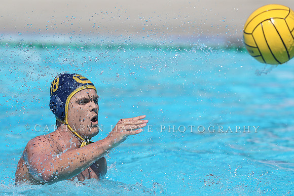 USA Water Polo: National League: NYAC vs Cal