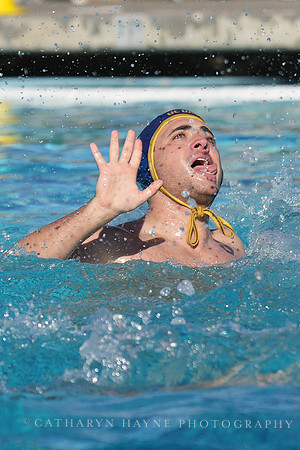 MWP: UC Davis Aggies Alumni Game