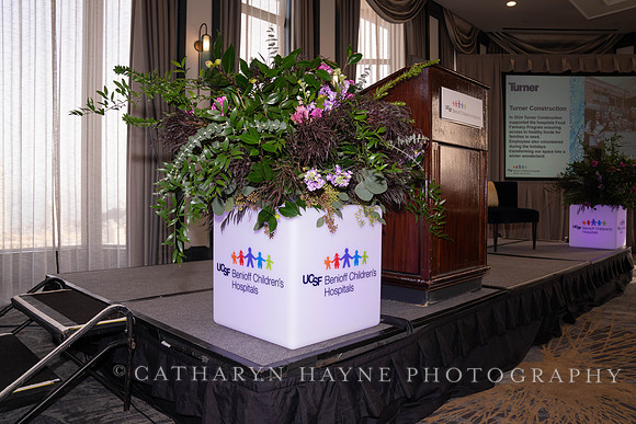 UCSF Benioff Children’s Hospital: Heroes for Healing