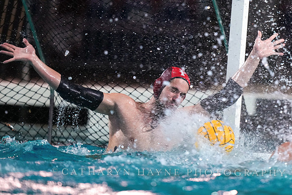 MWP: Fordham University Rams vs Long Beach State