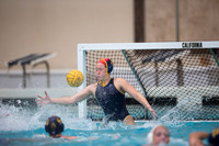 Cal vs San Jose State University