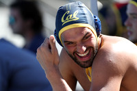 Collegiate Men's Water Polo: California Golden Bears vs Harvard