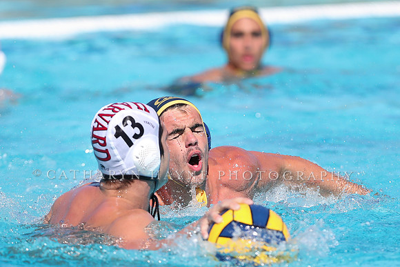 Collegiate Men's Water Polo: California Golden Bears vs Harvard
