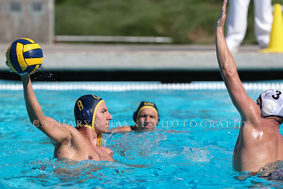 Collegiate Men's Water Polo: California Golden Bears vs Harvard