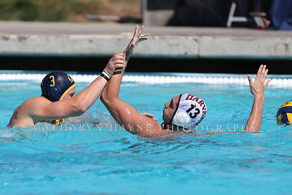 Collegiate Men's Water Polo: California Golden Bears vs Harvard
