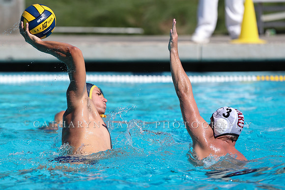 Collegiate Men's Water Polo: California Golden Bears vs Harvard