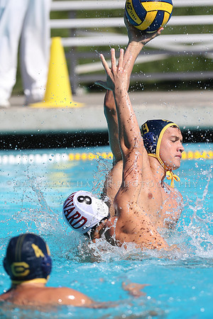 Collegiate Men's Water Polo: California Golden Bears vs Harvard