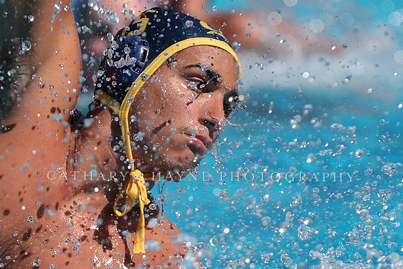 Collegiate Men's Water Polo: California Golden Bears vs Harvard