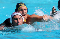 Collegiate Men's Water Polo: California Golden Bears vs Harvard