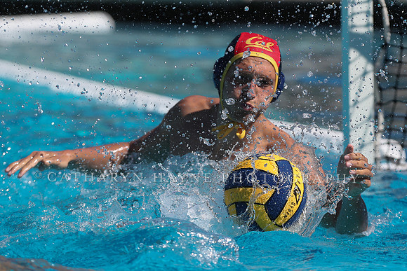 Collegiate Men's Water Polo: California Golden Bears vs Harvard
