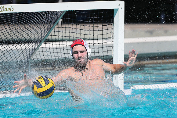 Collegiate Men's Water Polo: California Golden Bears vs Harvard