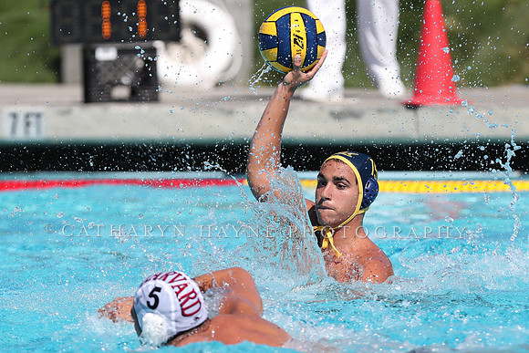 Collegiate Men's Water Polo: California Golden Bears vs Harvard