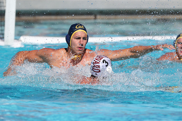 Collegiate Men's Water Polo: California Golden Bears vs Harvard