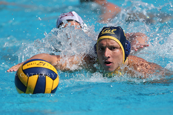 Collegiate Men's Water Polo: California Golden Bears vs Harvard