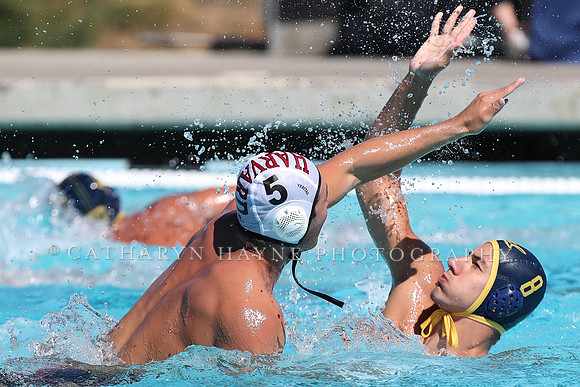 Collegiate Men's Water Polo: California Golden Bears vs Harvard