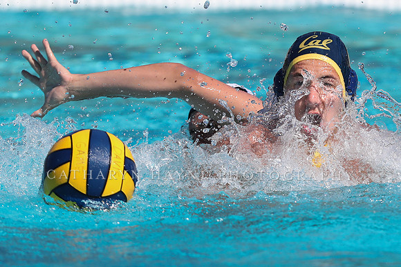 Collegiate Men's Water Polo: California Golden Bears vs Harvard
