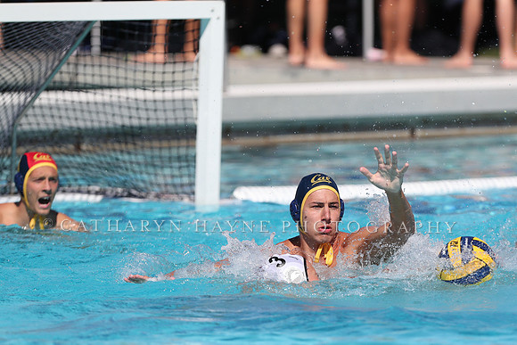Collegiate Men's Water Polo: California Golden Bears vs Harvard