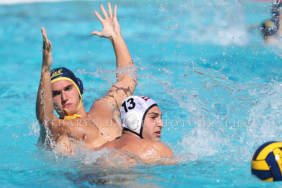 Collegiate Men's Water Polo: California Golden Bears vs Harvard