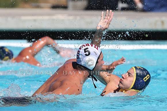 Collegiate Men's Water Polo: California Golden Bears vs Harvard