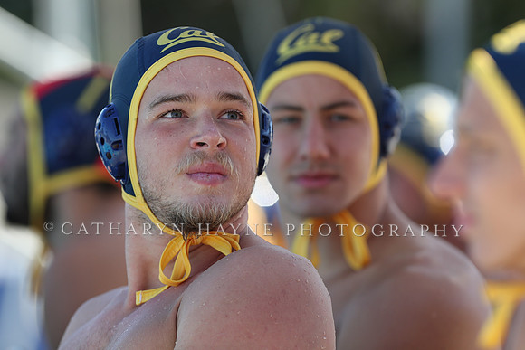 Collegiate Men's Water Polo: California Golden Bears vs Harvard