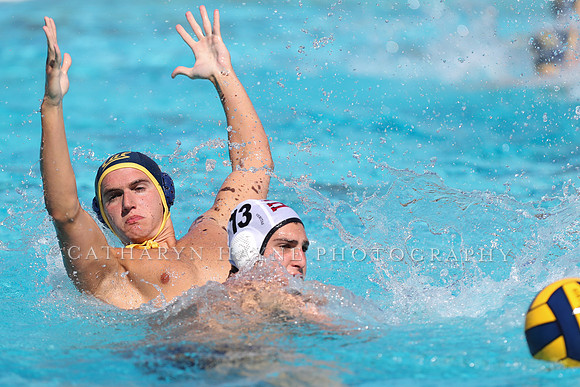 Collegiate Men's Water Polo: California Golden Bears vs Harvard