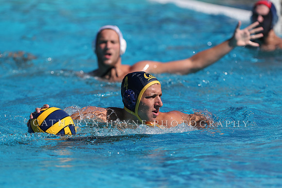 Collegiate Men's Water Polo: California Golden Bears vs Harvard