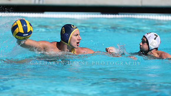 Collegiate Men's Water Polo: California Golden Bears vs Harvard