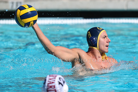 Collegiate Men's Water Polo: California Golden Bears vs Harvard