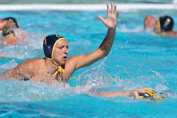 Collegiate Men's Water Polo: California Golden Bears vs Harvard