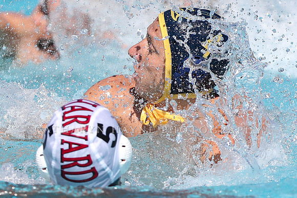 Collegiate Men's Water Polo: California Golden Bears vs Harvard