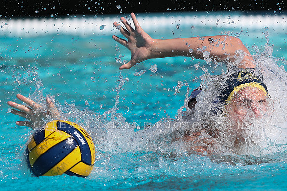 Collegiate Men's Water Polo: California Golden Bears vs Harvard