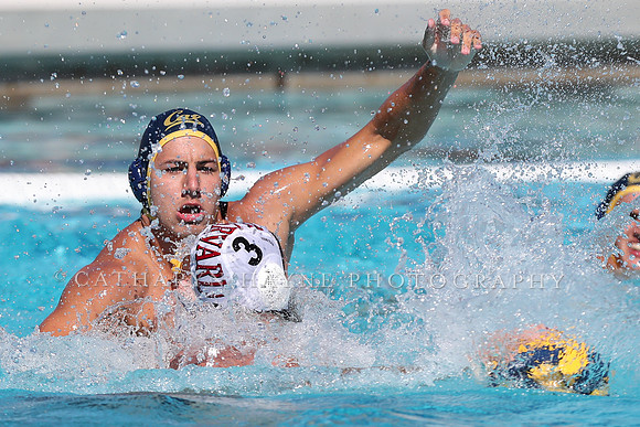 Collegiate Men's Water Polo: California Golden Bears vs Harvard