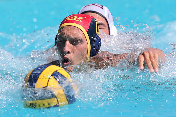 Collegiate Men's Water Polo: California Golden Bears vs Harvard