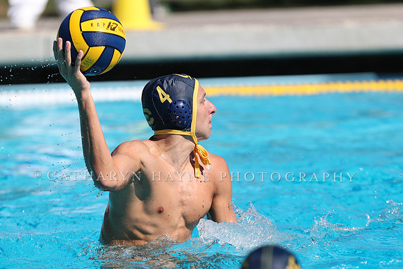 Collegiate Men's Water Polo: California Golden Bears vs Harvard