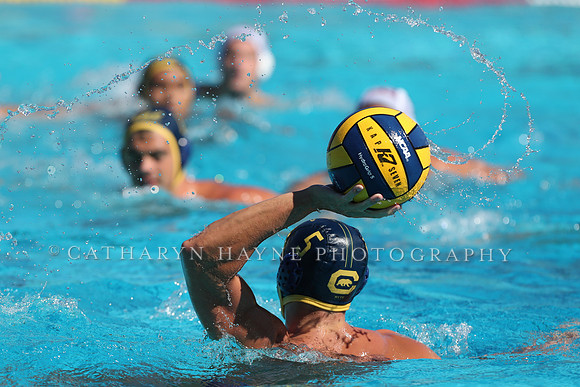 Collegiate Men's Water Polo: California Golden Bears vs Harvard