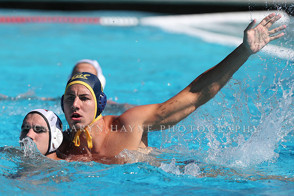 Collegiate Men's Water Polo: California Golden Bears vs Harvard