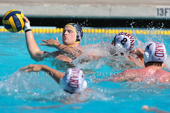 Collegiate Men's Water Polo: California Golden Bears vs Harvard