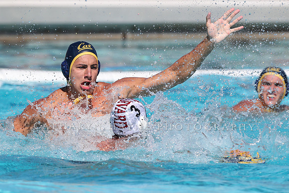 Collegiate Men's Water Polo: California Golden Bears vs Harvard