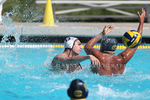 Collegiate Men's Water Polo: California Golden Bears vs Harvard